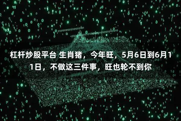 杠杆炒股平台 生肖猪，今年旺，5月6日到6月11日，不做这三件事，旺也轮不到你