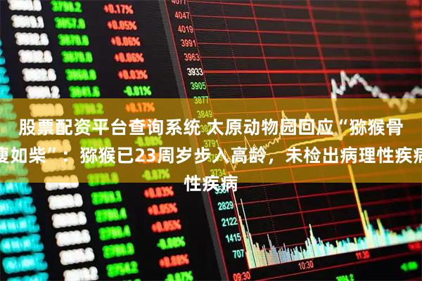 股票配资平台查询系统 太原动物园回应“猕猴骨瘦如柴”：猕猴已23周岁步入高龄，未检出病理性疾病